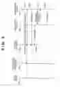 Fig. 10 - Communication apparatus and control method of the same