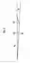 Fig. 03 - Electromagnetic wave generating device