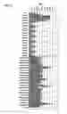 Fig. 04 - Vertically emitting, optically pumped semiconductor laser comprising an external resonator