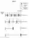 Fig. 03 - Motion vector compression method, video encoder, and video decoder using the method