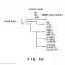 Fig. 26 - Moving picture coding and/or decoding systems, and variable-length coding and/or decoding system