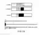 Fig. 33 - Moving picture coding and/or decoding systems, and variable-length coding and/or decoding system
