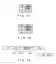 Fig. 60 - Moving picture coding and/or decoding systems, and variable-length coding and/or decoding system