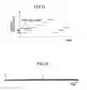 Fig. 13 - Demodulation apparatus and receiving apparatus