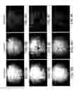 Fig. 08 - Systems and methods for force-fluorescence microscopy