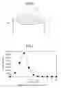 Fig. 07 - Nanoparticle-dispersed high-performance liquid fluid, production method and apparatus for the fluid, and leak detection method for the fluid
