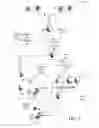 Fig. 03 - Home agent access in call routing management based on caller language