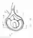 Fig. 13 - Ear warmer with a speaker system
