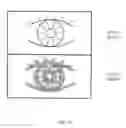 Fig. 15 - Iris image pickup camera and iris authentication system