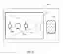 Fig. 20 - Iris image pickup camera and iris authentication system