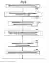 Fig. 09 - Analysing biological entities