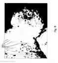Fig. 06 - Hyperspectral microscope for in vivo imaging of microstructures and cells in tissues