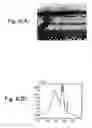 Fig. 09 - Data compression apparatus and data compression program storage medium