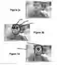 Fig. 08 - Modification of viewing parameters for digital images using face detection information