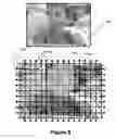 Fig. 19 - Modification of viewing parameters for digital images using face detection information