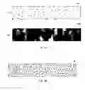 Fig. 41 - Unauthorized copy preventing device and method thereof, and program