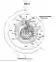 Fig. 05 - Variable capacity rotary compressor