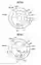 Fig. 10 - Variable capacity rotary compressor