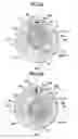 Fig. 17 - Variable capacity rotary compressor
