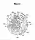 Fig. 31 - Variable capacity rotary compressor