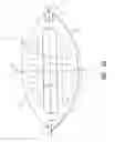 Fig. 30 - Rotary combustion apparatus