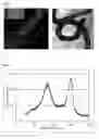 Fig. 02 - Method of preparing carbon nanotube from liquid phased-carbon source