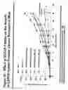 Fig. 76 - Antibodies and molecules derived therefrom that bind to STEAP-1 proteins