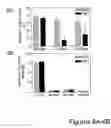 Fig. 07 - Pharmacokinetic modulation and compositions for modified FN3 polypeptides