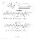 Fig. 02 - Tumor activated prodrugs
