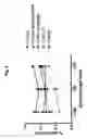 Fig. 10 - Composition and method for inducing protective vaccine response