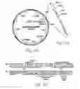 Fig. 06 - Production of ssDNA in vivo
