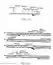 Fig. 10 - Production of ssDNA in vivo