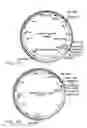 Fig. 11 - Production of ssDNA in vivo