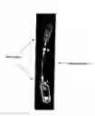 Fig. 02 - Apparatus and methods for amplification of blood stem cell numbers