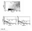 Fig. 07 - Method for purifying mesenchymal stem cells