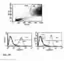 Fig. 08 - Method for purifying mesenchymal stem cells