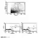 Fig. 09 - Method for purifying mesenchymal stem cells