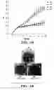 Fig. 02 - Methods for extending the replicative lifespan of cells