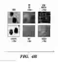 Fig. 11 - Methods for extending the replicative lifespan of cells