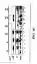 Fig. 12 - Methods for extending the replicative lifespan of cells