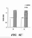 Fig. 19 - Methods for extending the replicative lifespan of cells