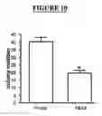 Fig. 13 - Proline rich acidic protein and uses thereof