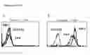 Fig. 03 - Compositions and methods of monoclonal and polyclonal antibodies specific for T cell subpopulations
