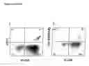 Fig. 04 - Compositions and methods of monoclonal and polyclonal antibodies specific for T cell subpopulations
