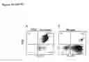 Fig. 05 - Compositions and methods of monoclonal and polyclonal antibodies specific for T cell subpopulations