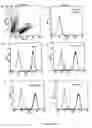 Fig. 10 - Compositions and methods of monoclonal and polyclonal antibodies specific for T cell subpopulations