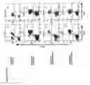 Fig. 12 - Compositions and methods of monoclonal and polyclonal antibodies specific for T cell subpopulations