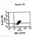 Fig. 20 - Compositions and methods of monoclonal and polyclonal antibodies specific for T cell subpopulations