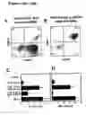 Fig. 22 - Compositions and methods of monoclonal and polyclonal antibodies specific for T cell subpopulations