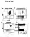 Fig. 23 - Compositions and methods of monoclonal and polyclonal antibodies specific for T cell subpopulations